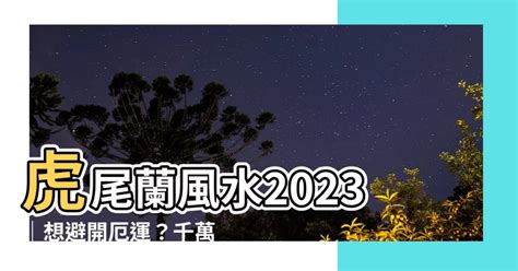 虎尾蘭風水2023